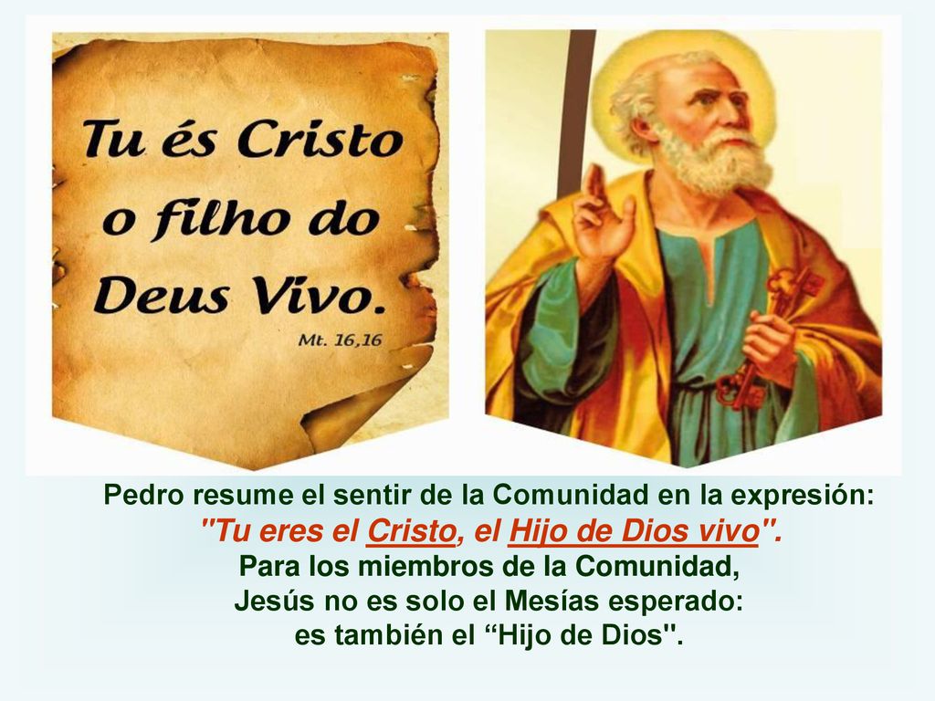 Tu eres el Cristo, el Hijo de Dios vivo .
