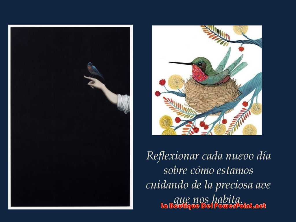 Reflexionar cada nuevo día sobre cómo estamos cuidando de la preciosa ave