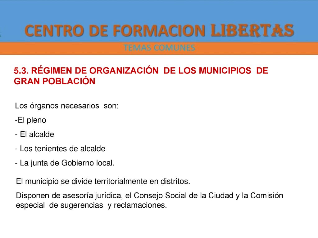 5.3. RÉGIMEN DE ORGANIZACIÓN DE LOS MUNICIPIOS DE GRAN POBLACIÓN