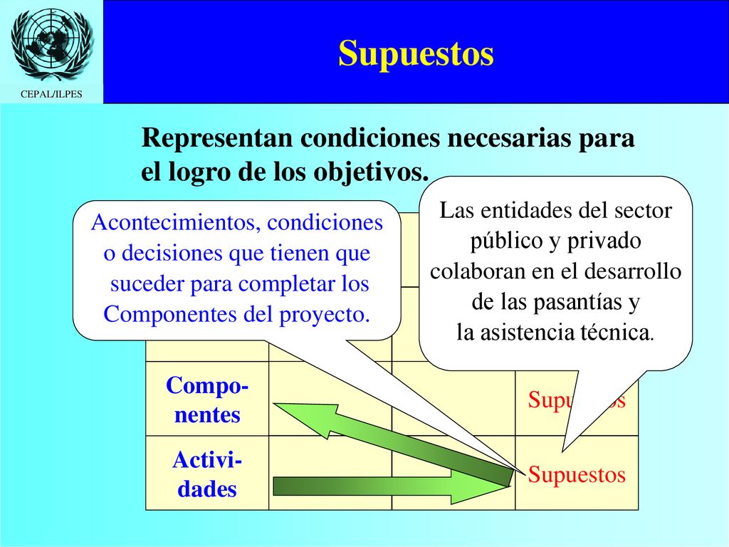 Supuestos Representan condiciones necesarias para el logro de los objetivos. Las entidades del sector.