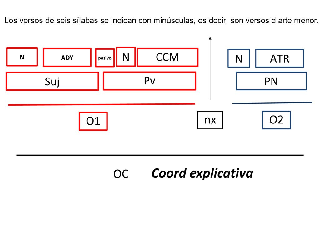 Coord explicativa nx O2 O1 OC N CCM N ATR Suj Pv PN