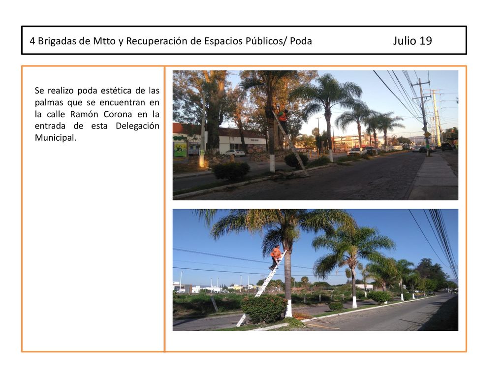 4 Brigadas de Mtto y Recuperación de Espacios Públicos/ Poda Julio 19