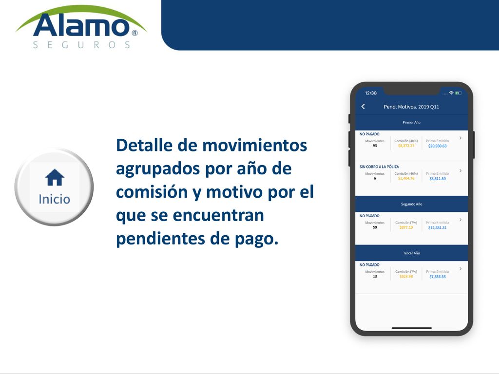 Detalle de movimientos agrupados por año de comisión y motivo por el que se encuentran pendientes de pago.