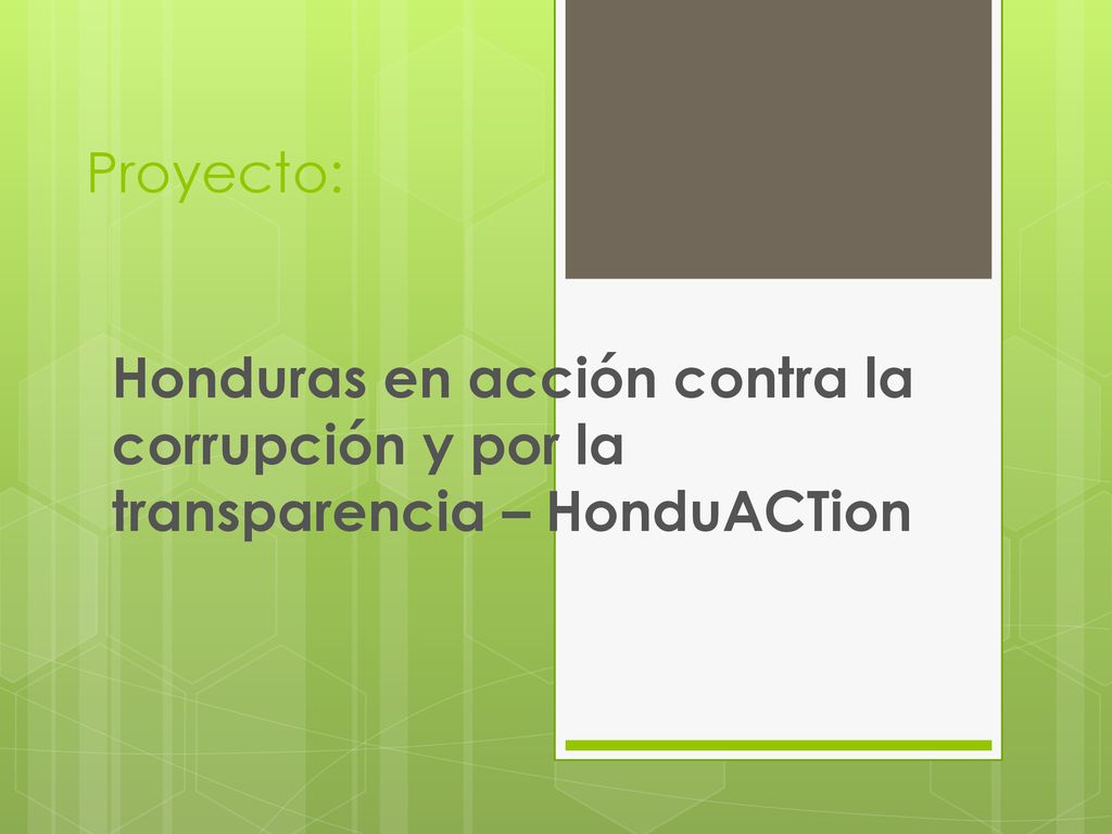 Proyecto: Honduras en acción contra la corrupción y por la transparencia – HonduACTion