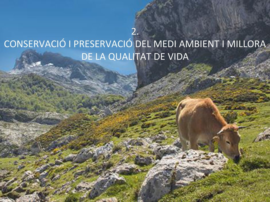 2. CONSERVACIÓ I PRESERVACIÓ DEL MEDI AMBIENT I MILLORA DE LA QUALITAT DE VIDA