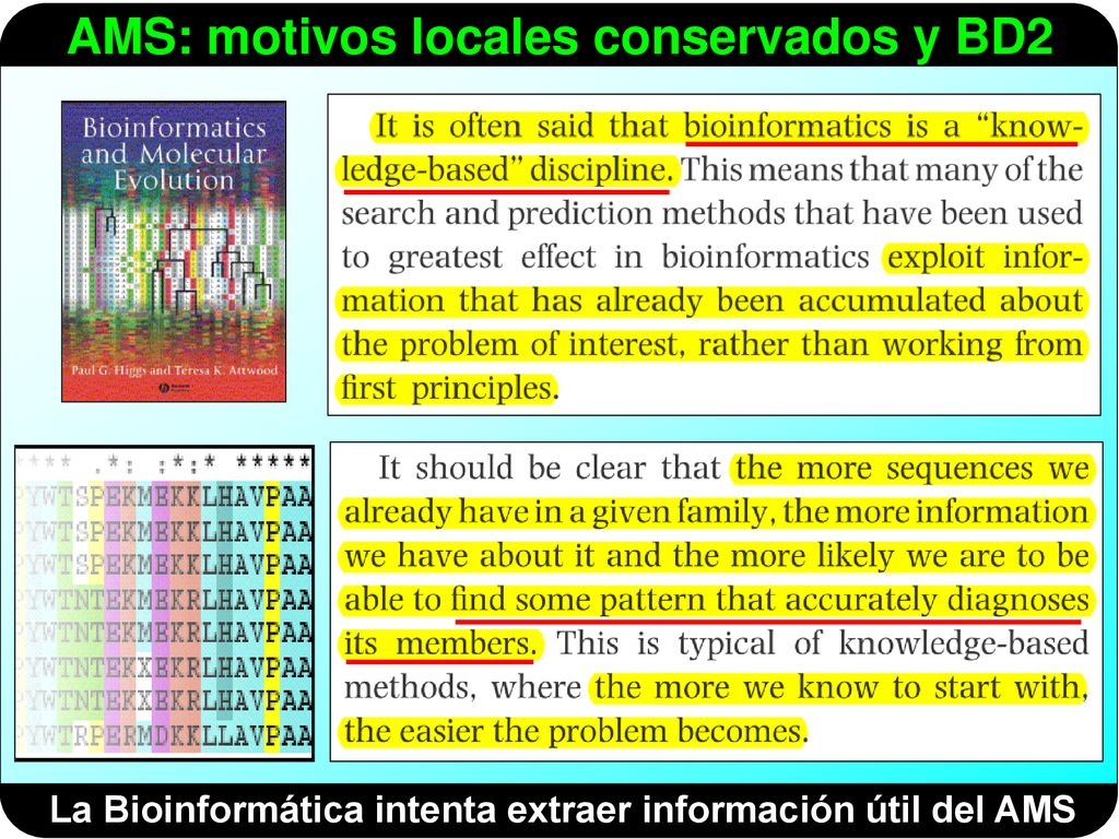 La Bioinformática intenta extraer información útil del AMS