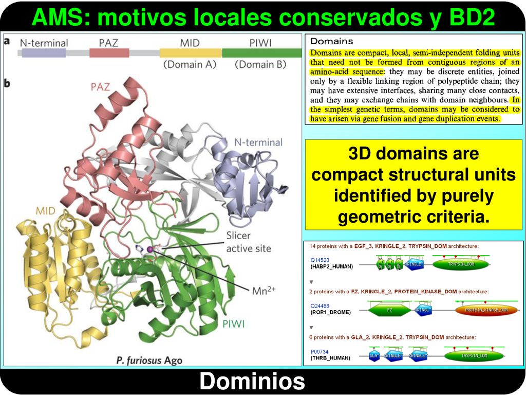 3D domains are compact structural units identified by purely geometric criteria.