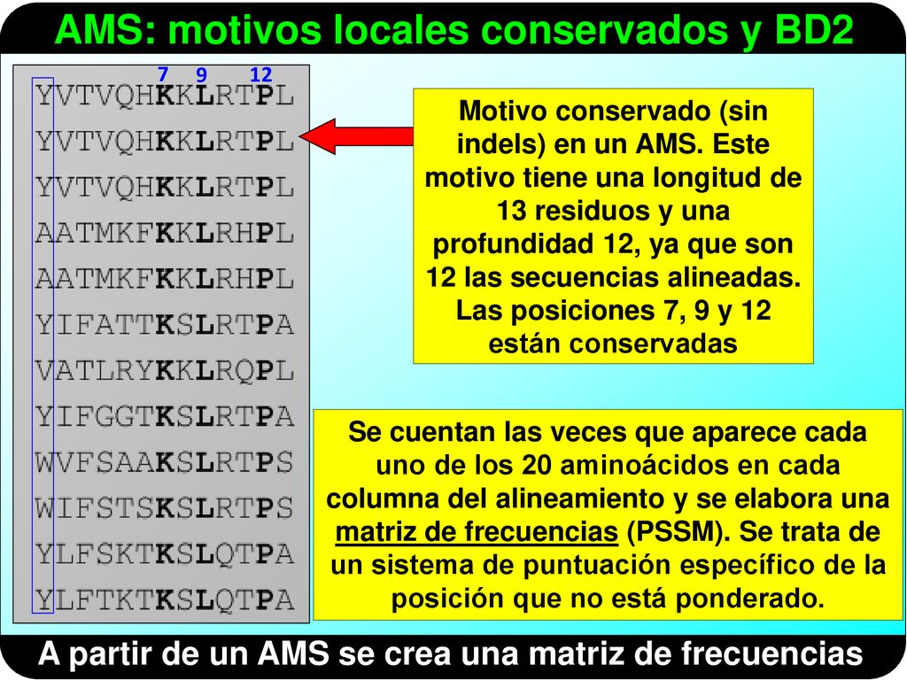 A partir de un AMS se crea una matriz de frecuencias