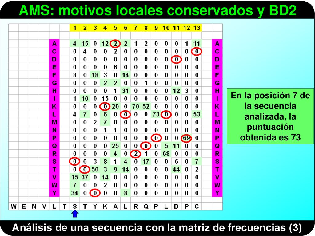 Análisis de una secuencia con la matriz de frecuencias (3)