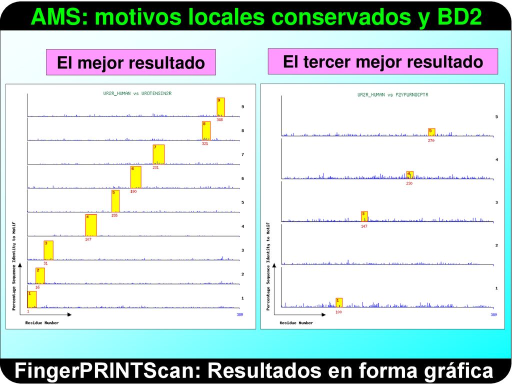 El tercer mejor resultado FingerPRINTScan: Resultados en forma gráfica