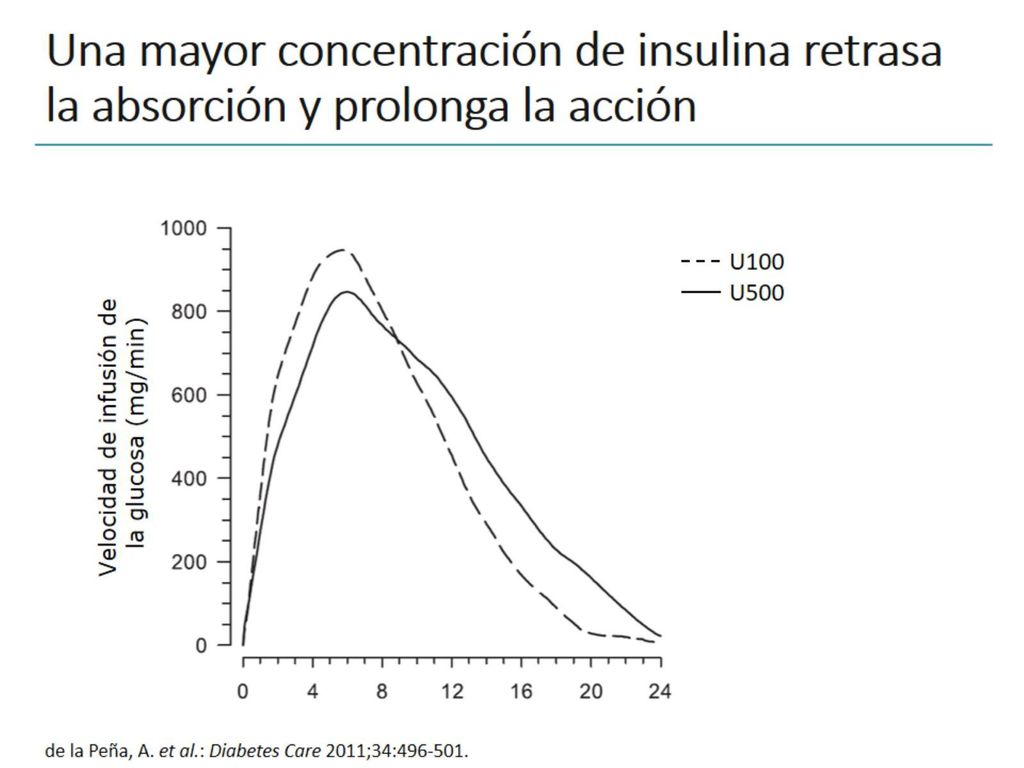 Una mayor concentración de insulina retrasa la absorción y prolonga la acción
