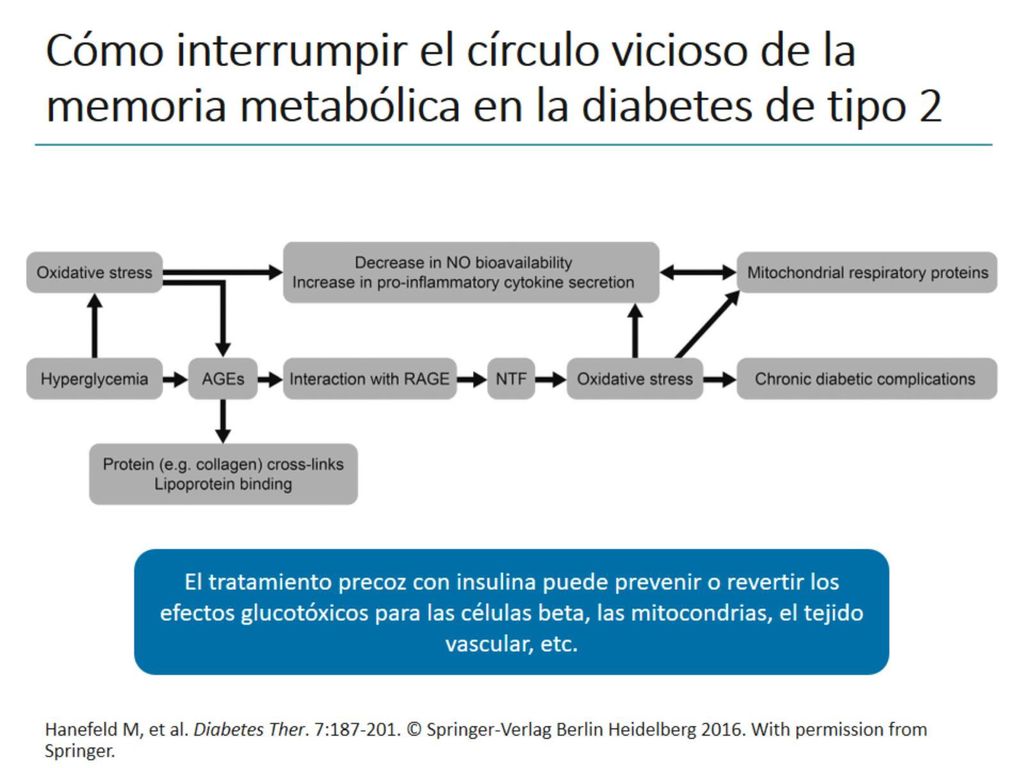Cómo interrumpir el círculo vicioso de la memoria metabólica en la diabetes de tipo 2
