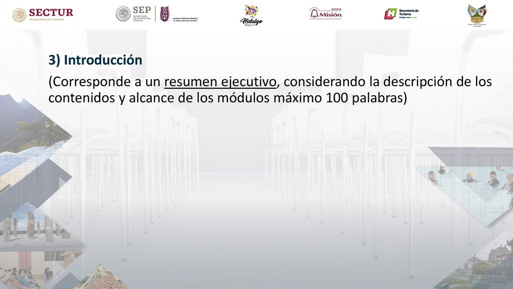 3) Introducción (Corresponde a un resumen ejecutivo, considerando la descripción de los contenidos y alcance de los módulos máximo 100 palabras)