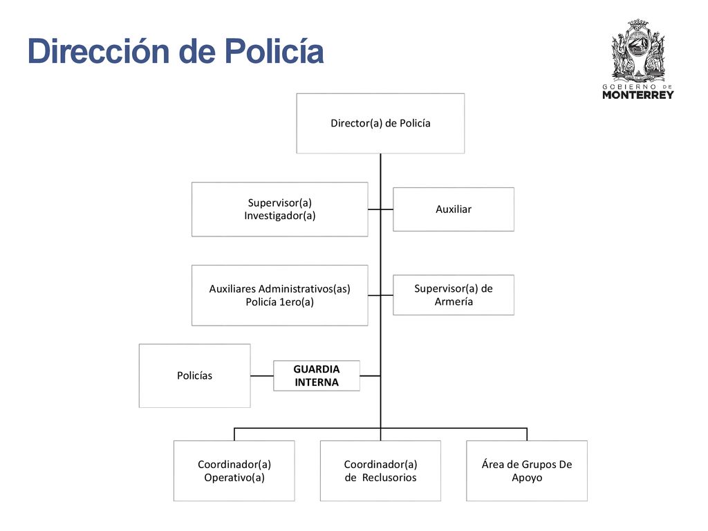 Dirección de Policía Director(a) de Policía Coordinador(a)