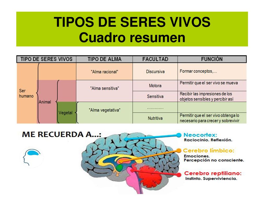 TIPOS DE SERES VIVOS Cuadro resumen