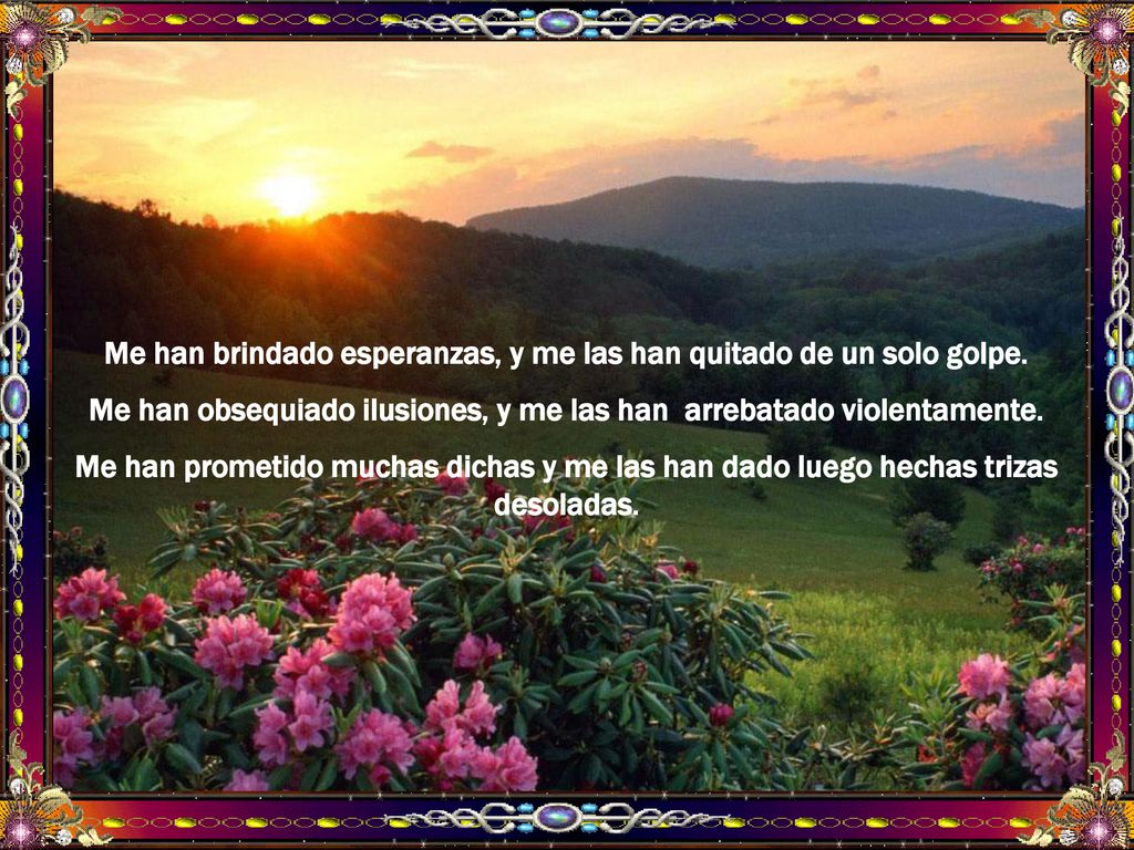 Me han brindado esperanzas, y me las han quitado de un solo golpe.