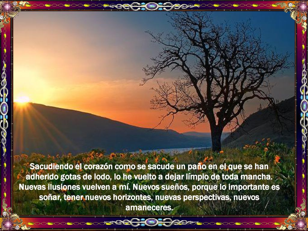 Sacudiendo el corazón como se sacude un paño en el que se han adherido gotas de lodo, lo he vuelto a dejar límpio de toda mancha.