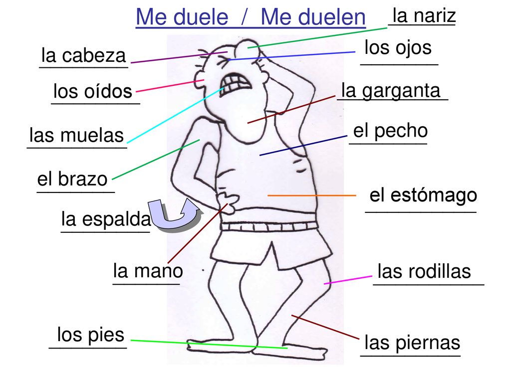 Me duele / Me duelen ______ la nariz los ojos ________ la cabeza