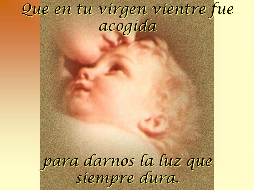 Que en tu virgen vientre fue acogida para darnos la luz que siempre dura.