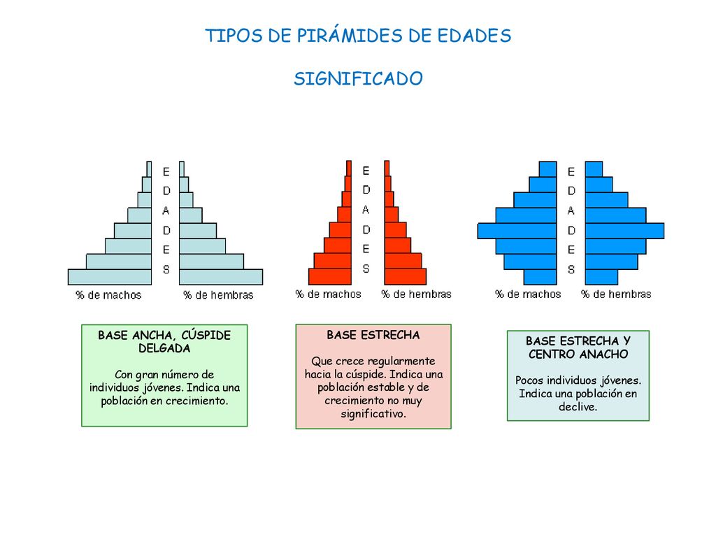 TIPOS DE PIRÁMIDES DE EDADES SIGNIFICADO