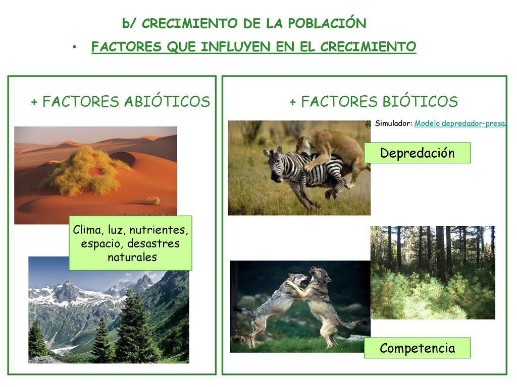 b/ CRECIMIENTO DE LA POBLACIÓN FACTORES QUE INFLUYEN EN EL CRECIMIENTO