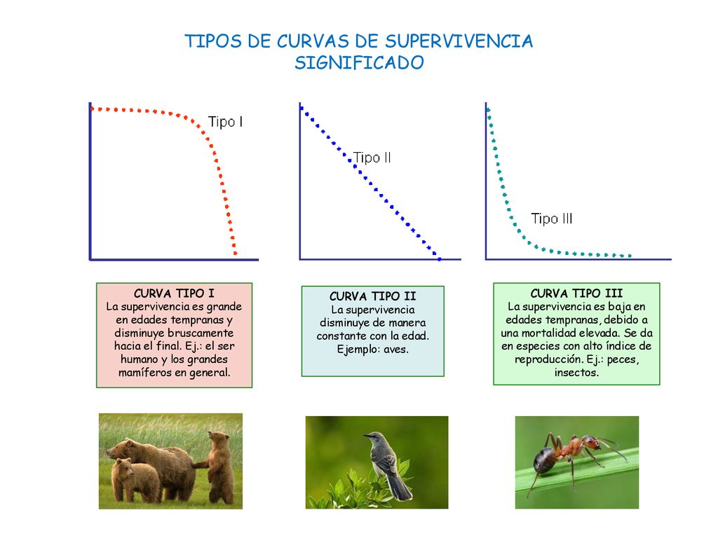 TIPOS DE CURVAS DE SUPERVIVENCIA SIGNIFICADO