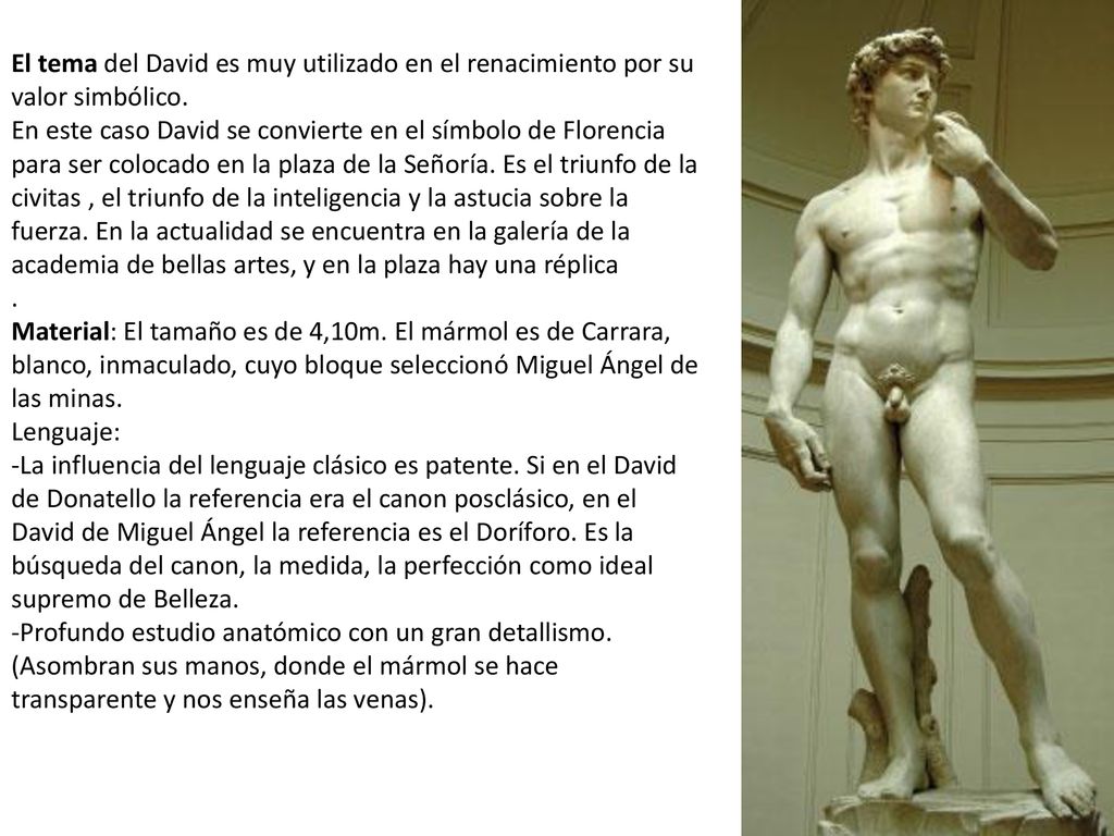 El tema del David es muy utilizado en el renacimiento por su valor simbólico. En este caso David se convierte en el símbolo de Florencia para ser colocado en la plaza de la Señoría. Es el triunfo de la civitas , el triunfo de la inteligencia y la astucia sobre la fuerza. En la actualidad se encuentra en la galería de la academia de bellas artes, y en la plaza hay una réplica