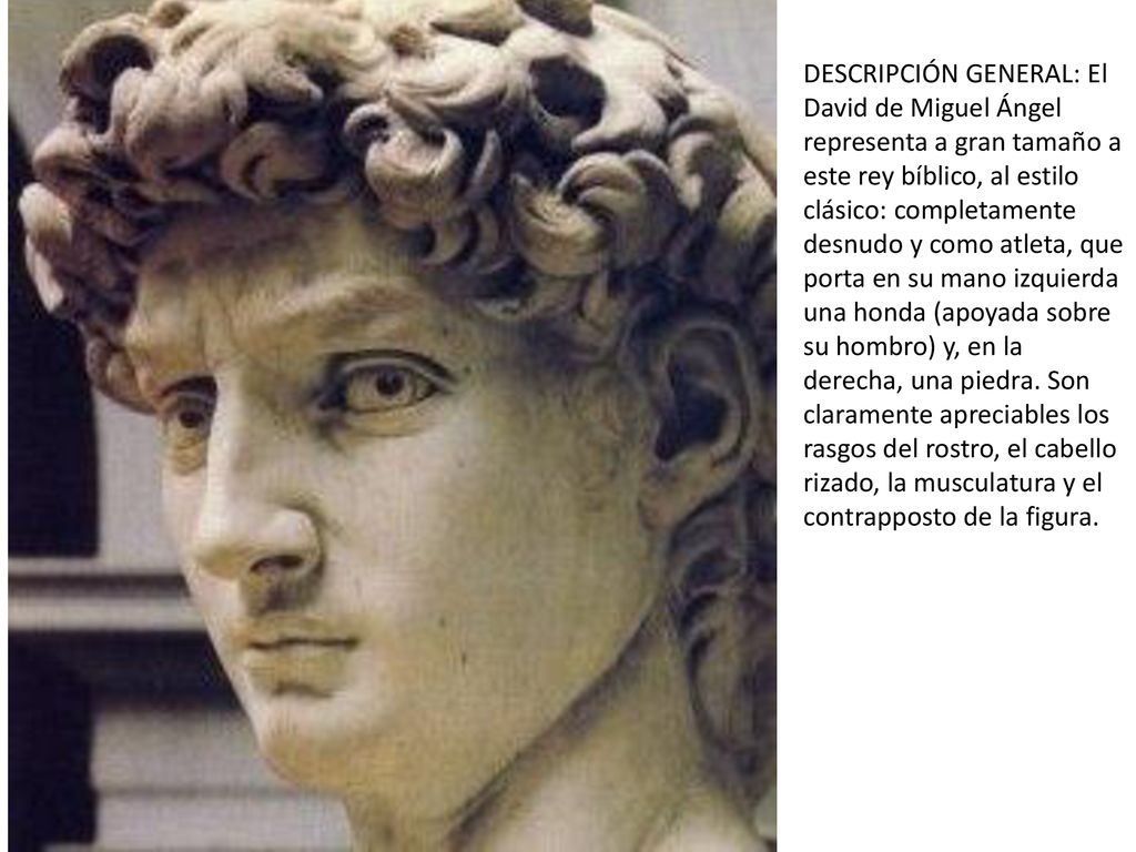 DESCRIPCIÓN GENERAL: El David de Miguel Ángel representa a gran tamaño a este rey bíblico, al estilo clásico: completamente desnudo y como atleta, que porta en su mano izquierda una honda (apoyada sobre su hombro) y, en la derecha, una piedra. Son claramente apreciables los rasgos del rostro, el cabello rizado, la musculatura y el contrapposto de la figura.