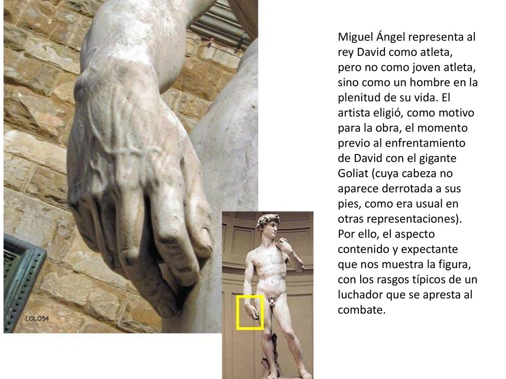 Miguel Ángel representa al rey David como atleta, pero no como joven atleta, sino como un hombre en la plenitud de su vida. El artista eligió, como motivo para la obra, el momento previo al enfrentamiento de David con el gigante Goliat (cuya cabeza no aparece derrotada a sus pies, como era usual en otras representaciones). Por ello, el aspecto contenido y expectante que nos muestra la figura, con los rasgos típicos de un luchador que se apresta al combate.