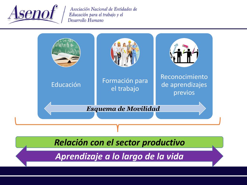 Relación con el sector productivo Aprendizaje a lo largo de la vida