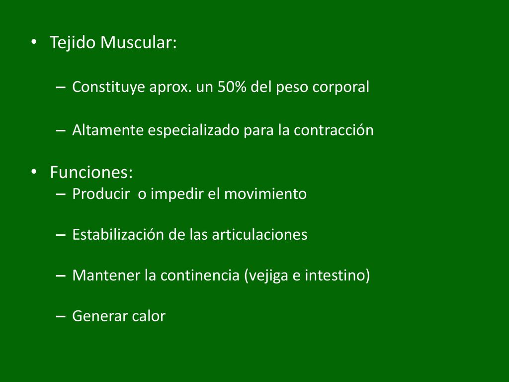 Tejido Muscular: Funciones: Constituye aprox. un 50% del peso corporal