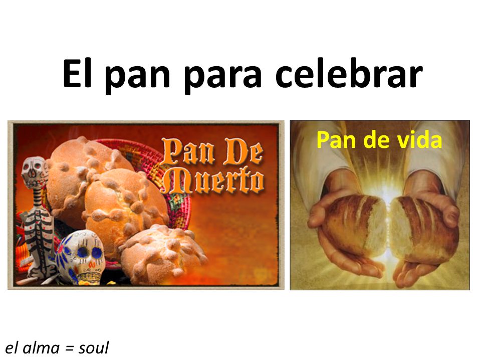 El pan para celebrar Pan de vida el alma = soul