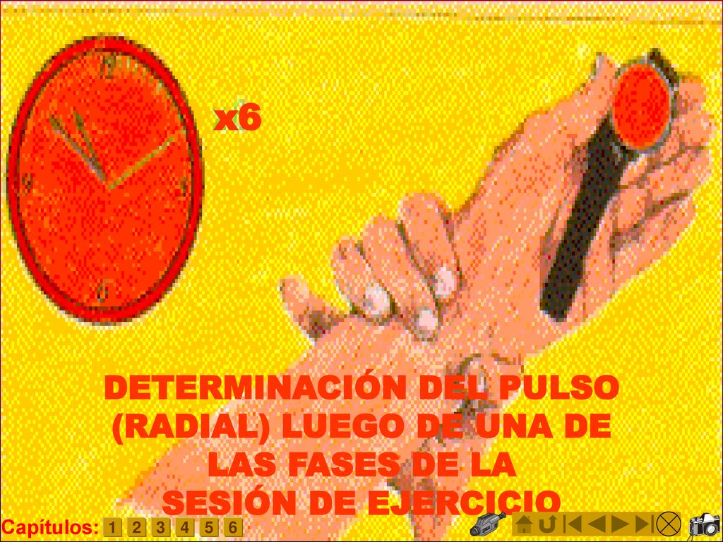 x6 DETERMINACIÓN DEL PULSO (RADIAL) LUEGO DE UNA DE LAS FASES DE LA SESIÓN DE EJERCICIO. Capítulos:
