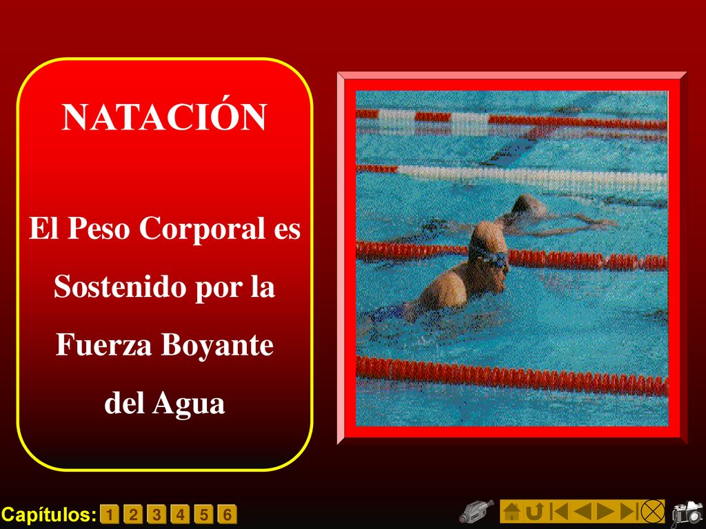 El Peso Corporal es Sostenido por la Fuerza Boyante del Agua