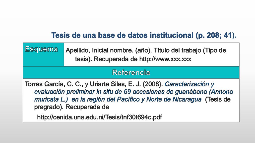 Tesis de una base de datos institucional (p. 208; 41). Esquema