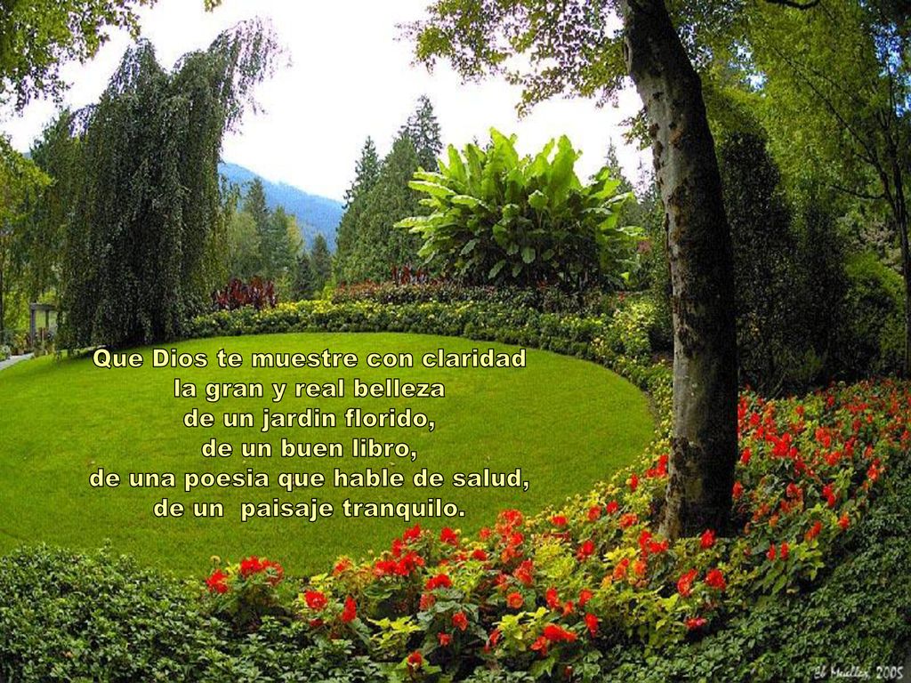 Que Dios te muestre con claridad la gran y real belleza