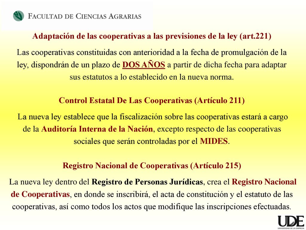 Adaptación de las cooperativas a las previsiones de la ley (art.221)