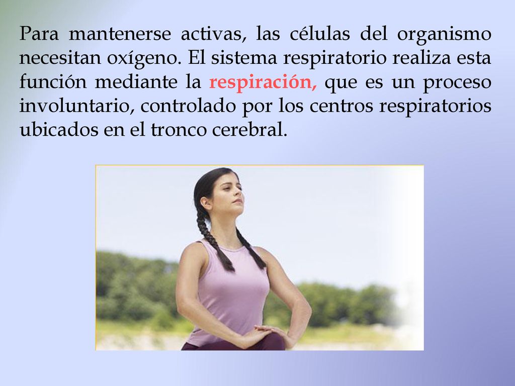 Para mantenerse activas, las células del organismo necesitan oxígeno