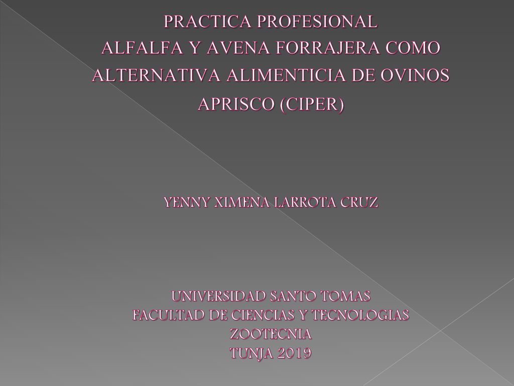 PRACTICA PROFESIONAL ALFALFA Y AVENA FORRAJERA COMO ALTERNATIVA ALIMENTICIA DE OVINOS APRISCO (CIPER) YENNY XIMENA LARROTA CRUZ UNIVERSIDAD SANTO TOMAS FACULTAD DE CIENCIAS Y TECNOLOGIAS ZOOTECNIA TUNJA 2019