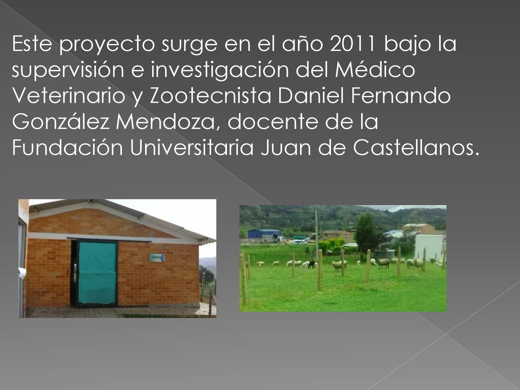 Este proyecto surge en el año 2011 bajo la supervisión e investigación del Médico Veterinario y Zootecnista Daniel Fernando González Mendoza, docente de la Fundación Universitaria Juan de Castellanos.