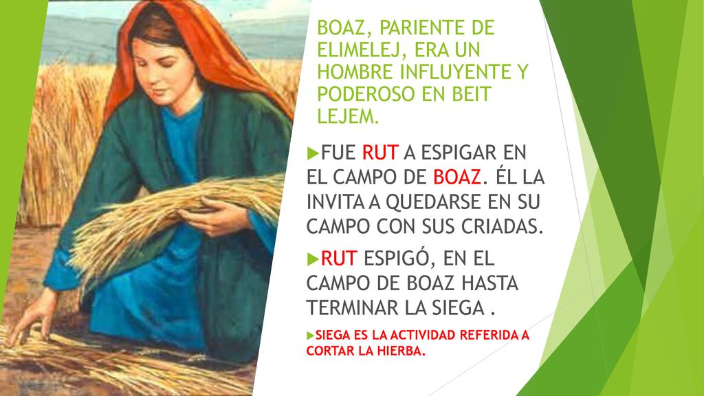 RUT ESPIGÓ, EN EL CAMPO DE BOAZ HASTA TERMINAR LA SIEGA .