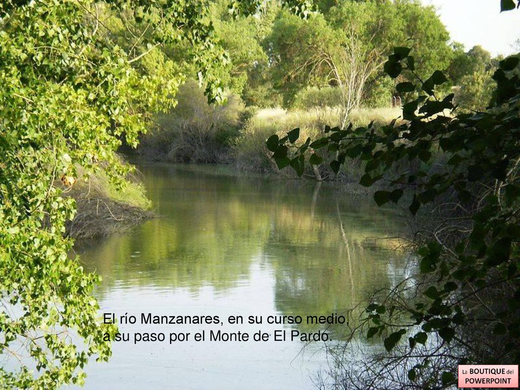 El río Manzanares, en su curso medio, a su paso por el Monte de El Pardo.