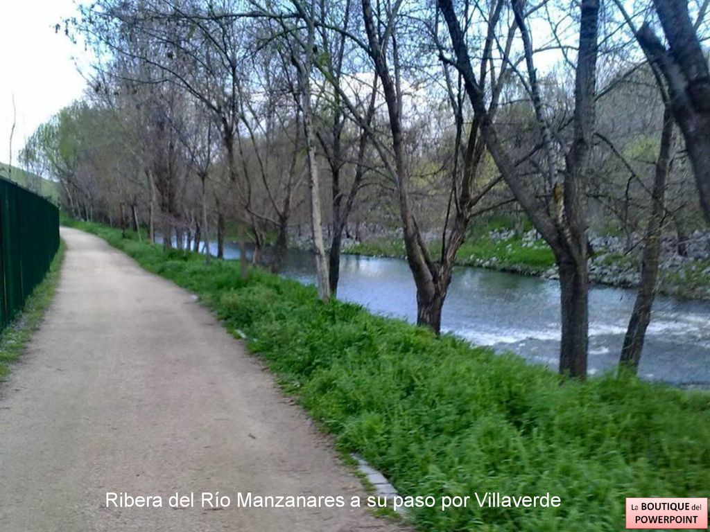 Ribera del Río Manzanares a su paso por Villaverde