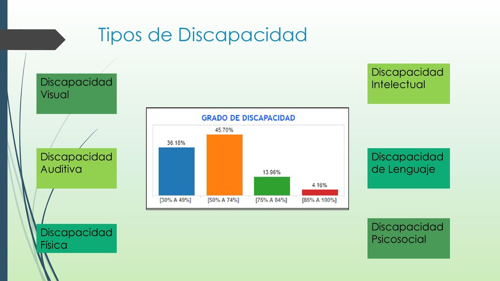 Tipos de Discapacidad Discapacidad Intelectual Discapacidad Visual
