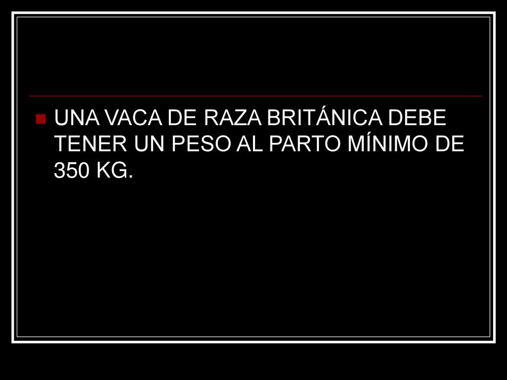 UNA VACA DE RAZA BRITÁNICA DEBE TENER UN PESO AL PARTO MÍNIMO DE 350 KG.