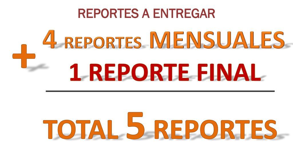 + 4 REPORTES MENSUALES TOTAL 5 REPORTES 1 REPORTE FINAL