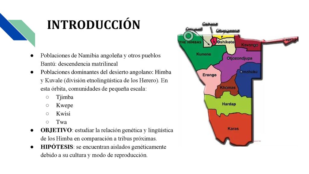 INTRODUCCIÓN Poblaciones de Namibia angoleña y otros pueblos Bantú: descendencia matrilineal.
