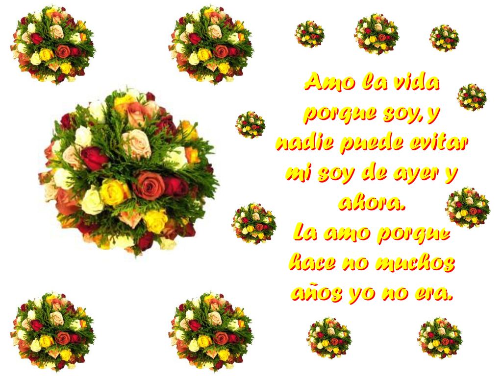 Amo la vida porque soy, y nadie puede evitar mi soy de ayer y ahora
