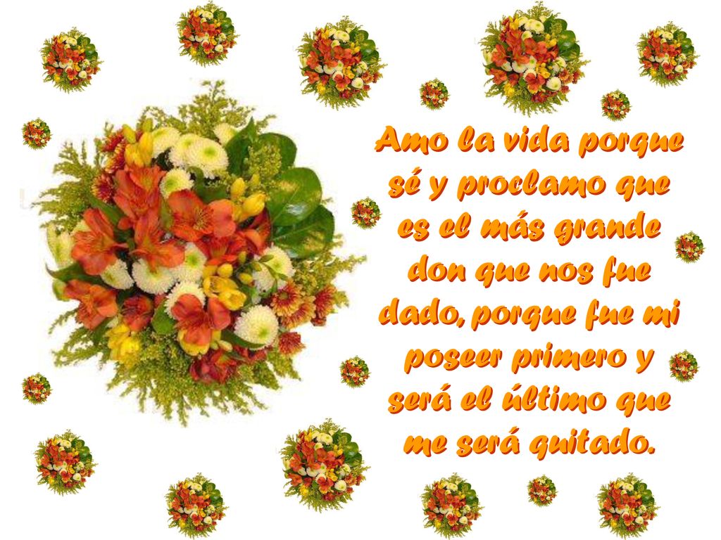 Amo la vida porque sé y proclamo que es el más grande don que nos fue dado, porque fue mi poseer primero y será el último que me será quitado.