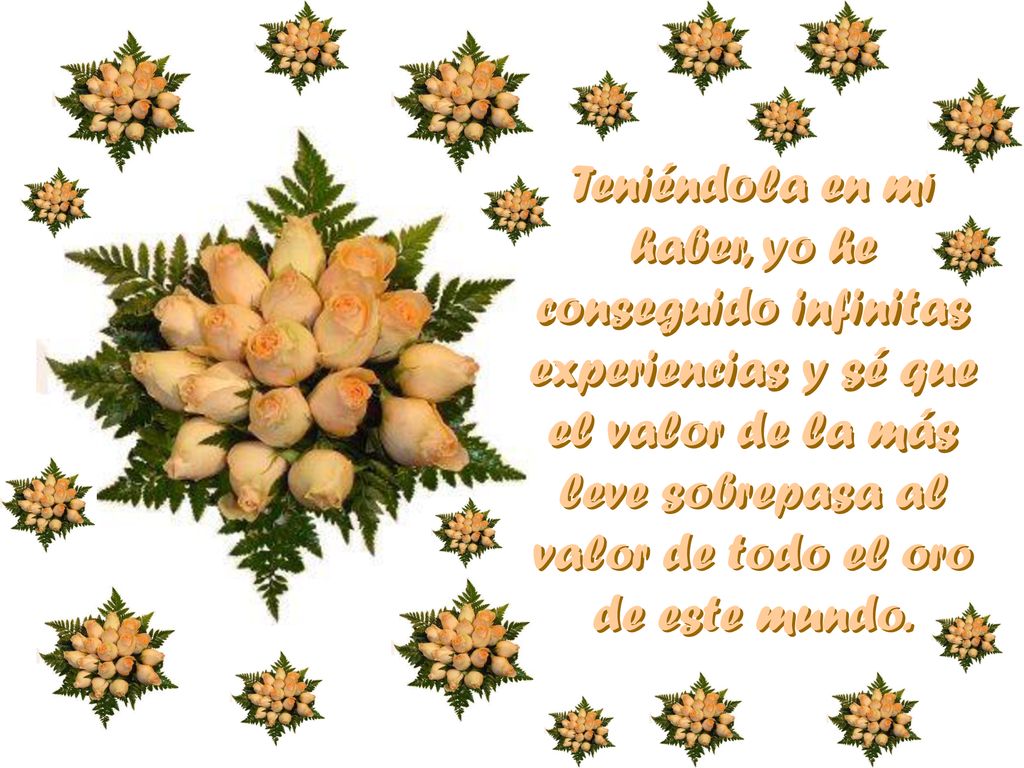 Teniéndola en mi haber, yo he conseguido infinitas experiencias y sé que el valor de la más leve sobrepasa al valor de todo el oro de este mundo.